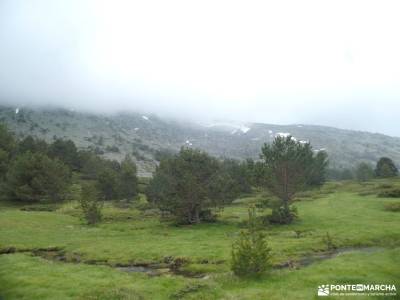 Senderos con historia: De la Pradera de Navalhorno al Chozo Arangüez: tiempo sierra de madrid circo 